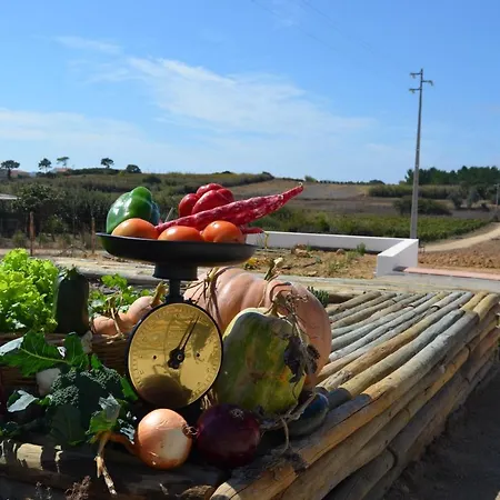 Gospodarstwo agroturystyczne Entre Vinhas & Mar