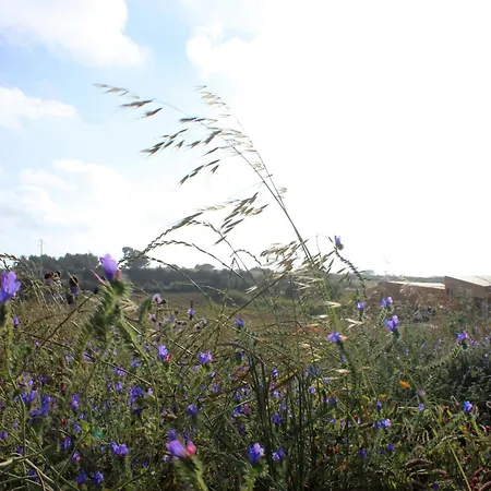 Entre Vinhas & Mar Farm stay Obidos