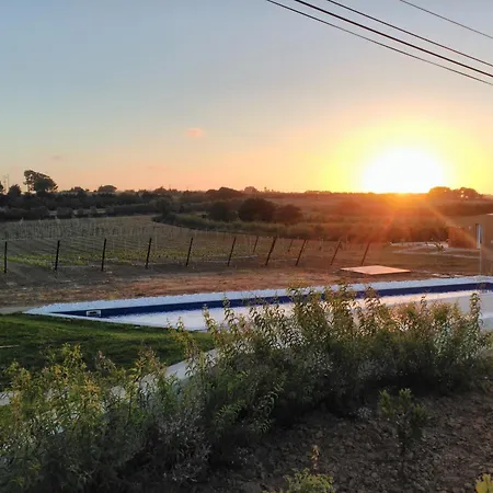 Entre Vinhas & Mar Gospodarstwo agroturystyczne *