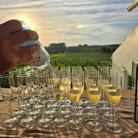 Farm stay Entre Vinhas & Mar