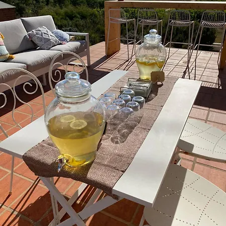 Entre Vinhas & Mar Farm stay *