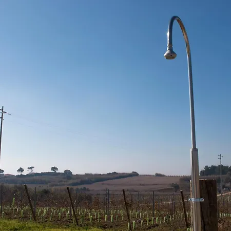 Agroturismo Entre Vinhas & Mar Óbidos