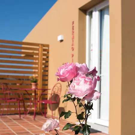 Entre Vinhas & Mar Óbidos