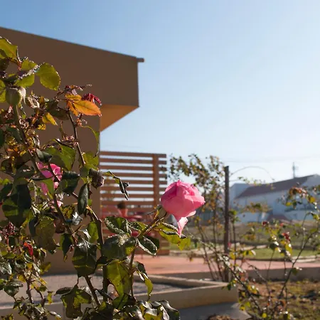 Entre Vinhas & Mar Gospodarstwo agroturystyczne