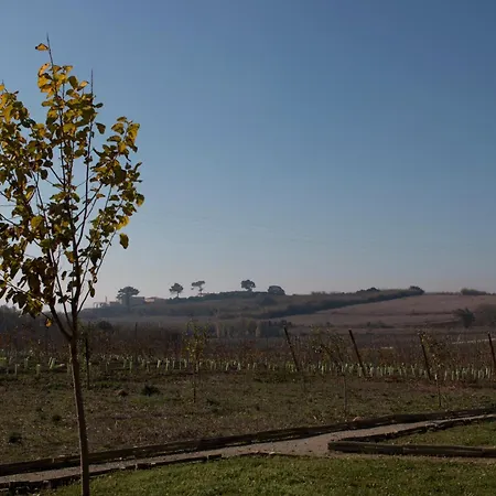 Farm stay Entre Vinhas & Mar *