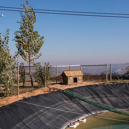 Gospodarstwo agroturystyczne Entre Vinhas & Mar *