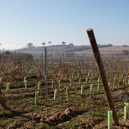 Agroturismo Entre Vinhas & Mar *