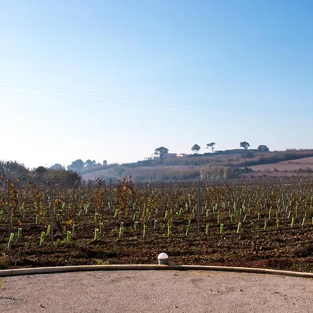 Entre Vinhas & Mar *