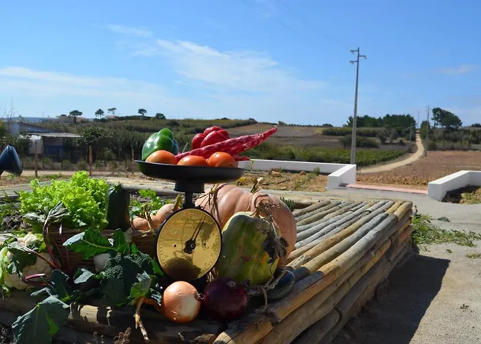 Κατάλυμα σε φάρμα Entre Vinhas & Mar