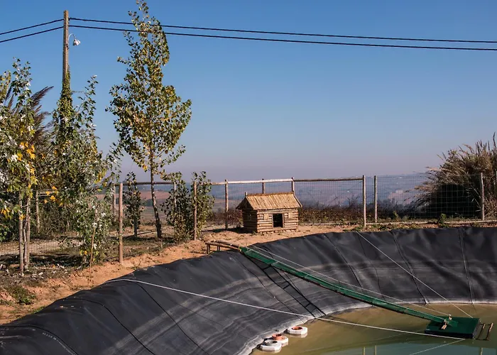 Bauernhof Entre Vinhas & Mar *